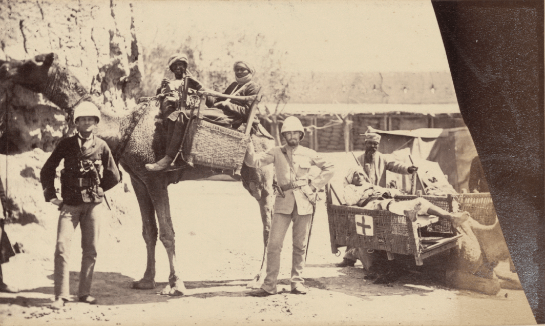 Dromadaire transportant des bléssés en Afghanistan 1878